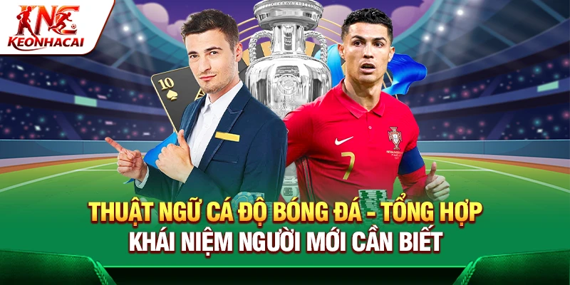 https://reiq.io/thuat-ngu-ca-do-bong-da/