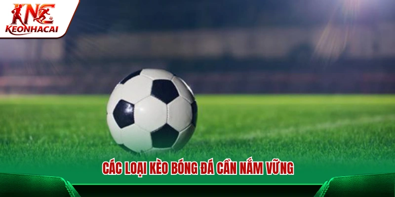 Những dạng kèo bóng đá người chơi cần hiểu rõ