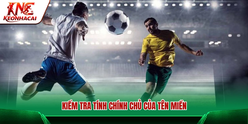 Xác minh quyền sở hữu hợp pháp của tên miền